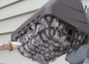 clogged dryer vent squirrel cage westerville ohio