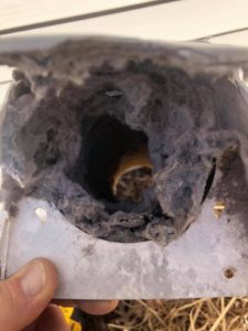 clogged dryer vent discharge worthington ohio