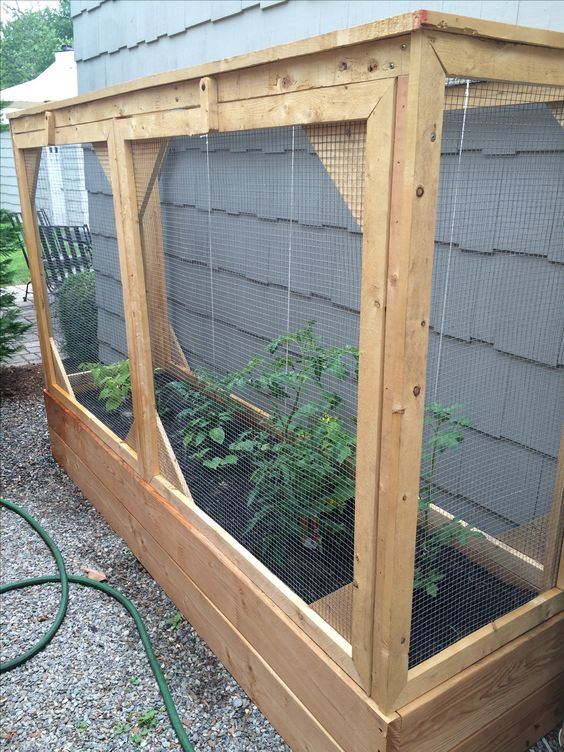 88ea9d8787b5b61d0162acd0c16788a3