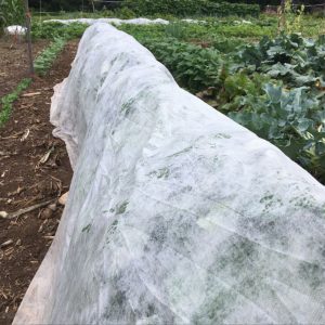 fall cover rows columbus oh